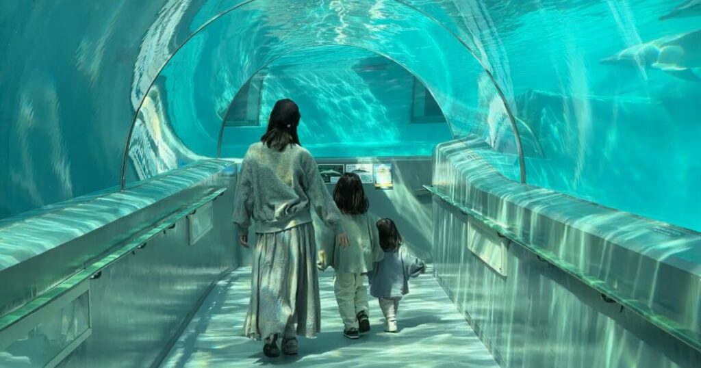 水族館のトンネル水槽を歩く親子3人の後ろ姿