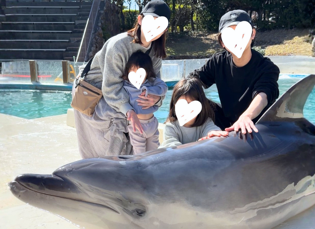 イルカに触れて家族で記念撮影している様子